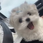 Briana Swift - @brianaswift75 - Instagram