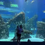 Briana Temple - Facebook