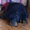 Briana ♡ - @briana.vera46 - TikTok