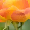 brianaweber59017 - @brianaweber59017 - TikTok