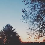 briannathibodeaux20 - @briannathibodeaux20 - Instagram