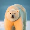 polarbear😎🤑🥶✝️ - @briannabooth521 - TikTok