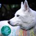 Brianna Chen - Facebook
