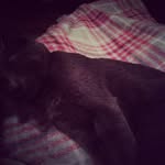 Brianna - @brianna_cloud_kat - Instagram