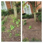 Brianna & Steven Collado - @colladoslandscaping - Instagram
