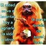 briannacollado - @hola_tengo_muchas_felicidades - Instagram