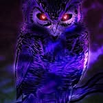 Brianna Conroy - @rebelowlgirl20 - Instagram