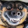briannacorbin861 - @briannacorbin861 - TikTok