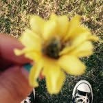 dylan&brianna&corey&emma - @eatsleepsing_repeat - Instagram