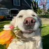 JaylahBriannaFitzpatrick - @jaylahbriannafitz - TikTok