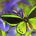 Brianna Houge - Facebook