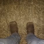 Brianna Hull - @brianna.hull.395 - Instagram