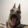 Brianna_Màÿ - @brianna_may - TikTok