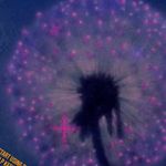 Brianna Redding - @freinds_are_awsome12345678910 - Instagram