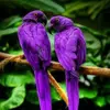 brianna00042 - @briannasaylor661 - TikTok