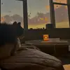 Brianna Holmes - @brianna_holmes_backup - TikTok