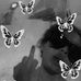Briana Vilela Ortiz - Facebook