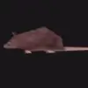 Brianne Walker - @brianne.walker - TikTok