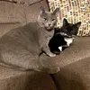 bricealdrich197 - @bricealdrich197 - TikTok