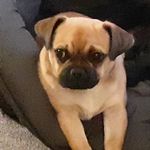 @bridget.asher77 - Instagram