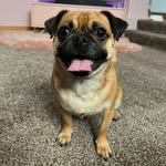 Bridget Asher - @bridget2.asher - Instagram