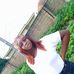 Bridget Benjamin - Facebook