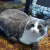 bridget_bishop - @bridget_bishop - TikTok