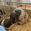 bridgetbohannon88 - @bridgetbohannon88 - TikTok