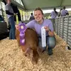 Bridgett Boyer - @bridgettboyer - TikTok