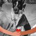 Bridgett Bryant - Facebook