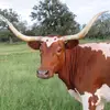 Bridget Cheatham - @cheathamheritagefarm - TikTok