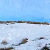 bridget 🌸 - @bridget..close - TikTok