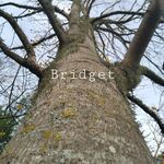 Bridget Close - @bridget_pmc - Instagram