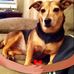 Bridget Coady - Facebook