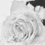 brudget cogar - @bridgetcogar9990 - Instagram