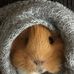 Bridget Coles - Facebook