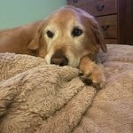 Bridget Conboy-Klotz - @bridgetklotz - Instagram
