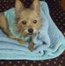 Bridget Conklin - Facebook