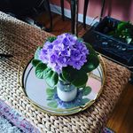 Bridget Copeland - @bridgetcopeland777 - Instagram
