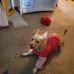 Bridget Corcoran - Facebook