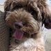 Bridget Cornett - Facebook