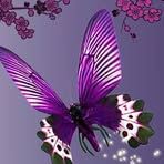 Bridget Corry - Facebook