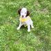 Bridget Coverdell - Facebook