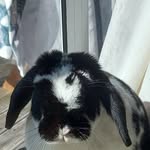 Bridget Cronin - @bridget88 - Instagram