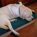 Bridget Cronin Matheou - Facebook