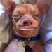Bridget Cuevas - Facebook