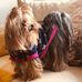 Bridget Curley - Facebook