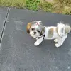 Bridget Curry - @bridget.curry0 - TikTok