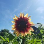 Bridget Cutler Henderson - @brig899 - Instagram