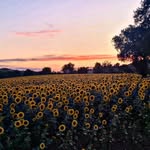 Bridget Decker - @bridgetdecker74 - Instagram